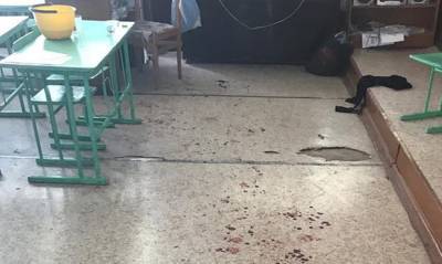 Подростка из Вольска приговорили к 7 годам воспитательной колонии за нападение на школу - og.ru - Саратовская обл. - Вольск