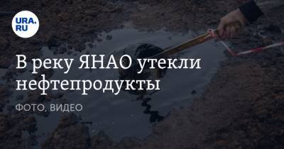 В реку ЯНАО утекли нефтепродукты. ФОТО, ВИДЕО - ura.news - окр. Янао
