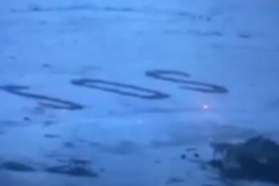 Троих мужчин нашли на необитаемом острове благодаря огромной надписи SOS - vm.ru - Архангельская обл. - Микронезия