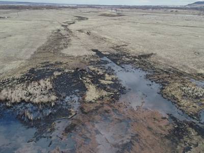 На Ямале начали проверку после разлива нефти близ танкеров «Лукойла» - rosbalt.ru - окр. Янао - район Надымский