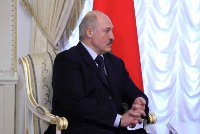 Александр Лукашенко - Лукашенко назвал враньем рассказы о цели задержанных в Белоруссии россиян - trud.ru - Россия - Белоруссия - Венесуэла - Ливия - Стамбул