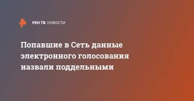 Илья Массух - Попавшие в Сеть данные электронного голосования назвали поддельными - ren.tv - Россия
