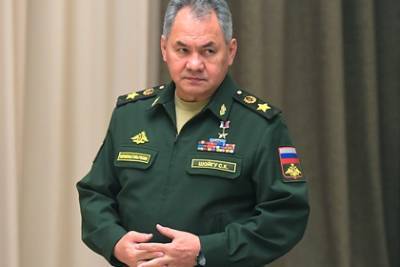 Сергей Шойгу - Российским военным подняли зарплаты - lenta.ru