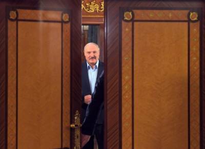 Константин Затулин - Александр Лукашенко - В Госдуме предложили не отправлять российских наблюдателей на выборы в Белоруссию - govoritmoskva.ru - Россия - Белоруссия