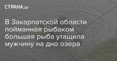 В Закарпатской области пойманная рыбаком большая рыба утащила мужчину на дно озера - strana.ua - Закарпатская обл. - Мукачево - Гсчс