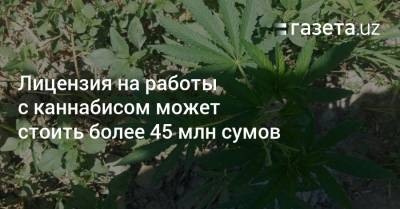 Шавкат Мирзиеев - Лицензия на работы с каннабисом может стоить более 45 млн сумов - gazeta.uz