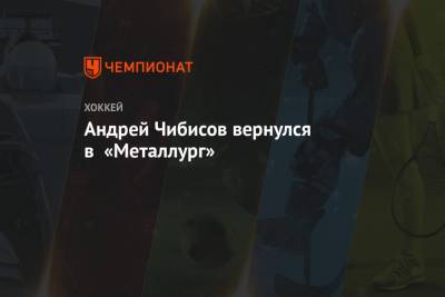 Андрей Чибисов - Андрей Чибисов вернулся в «Металлург» - championat.com - США