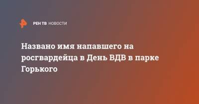 Названо имя напавшего на росгвардейца в День ВДВ в парке Горького - ren.tv