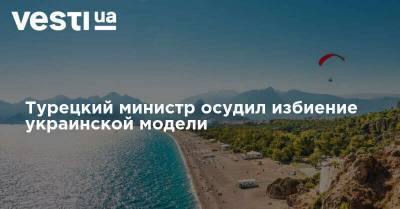 Турецкий министр осудил избиение украинской модели - vesti.ua - Украина - Турция