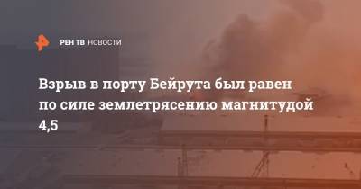 Взрыв в порту Бейрута был равен по силе землетрясению магнитудой 4,5 - ren.tv - Ливан - Иордания - Бейрут