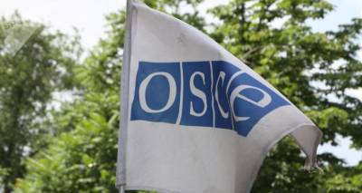Оценочная миссия ОБСЕ изучает предвыборную среду в Грузии - sputnik-georgia.ru - Грузия - Тбилиси
