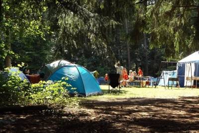 Откроют ли детские лагеря этим летом рассказали власти Новосибирской области - novos.mk.ru - Новосибирская обл.