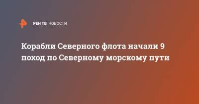 Корабли Северного флота начали 9 поход по Северному морскому пути - ren.tv - Североморск - Арктика - Северный Флот