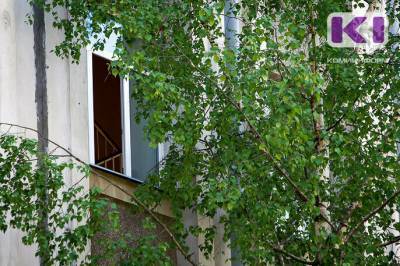 В Ухте потерялась девочка, а в Сыктывкаре малыш полз по окну второго этажа - komiinform.ru - респ. Коми - Сыктывкар