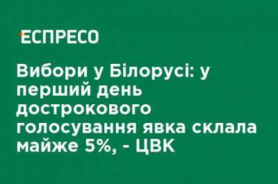 Выборы в Беларуси: в первый день досрочного голосования явка составила почти 5%, - ЦИК - ru.espreso.tv - Белоруссия - Минск