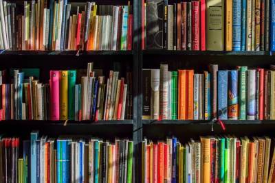 Книги в библиотеках Липецка будут выдавать по предварительному заказу - lipetskmedia.ru - Липецк