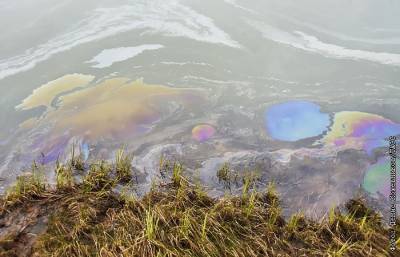В водоемах в Норильске нашли нефтепродукты через месяц после ЧП на ТЭЦ - interfax.ru - Москва - Россия - Норильск