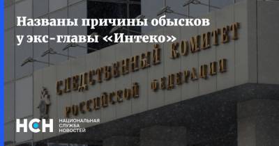 Елена Батурина - Названы причины обысков у экс-главы «Интеко» - nsn.fm - Москва