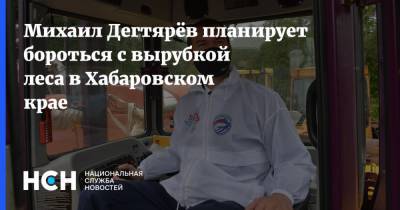 Михаил Дегтярев - Михаил Дегтярёв планирует бороться с вырубкой леса в Хабаровском крае - nsn.fm - Хабаровский край