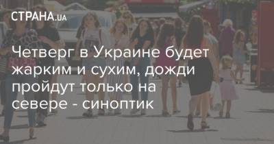 Наталья Диденко - Четверг в Украине будет жарким и сухим, дожди пройдут только на севере - синоптик - strana.ua - Украина