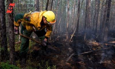 На Ямале полыхают лесные пожары - fedpress.ru - Салехард - район Надымский - Пуровск