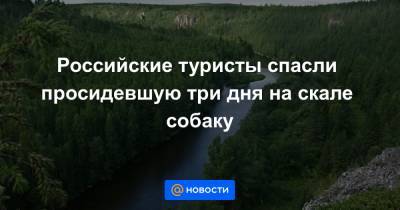 Анна Лысенко - Российские туристы спасли просидевшую три дня на скале собаку - news.mail.ru - Свердловская обл.