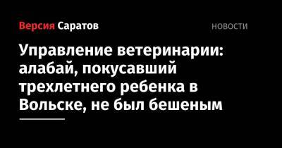 Управление ветеринарии: алабай, покусавший трехлетнего ребенка в Вольске, не был бешеным - nversia.ru - Саратовская обл. - Вольск