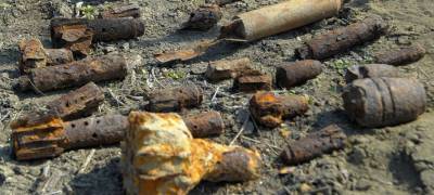 В Карелии грибники нашли военный снаряд - stolicaonego.ru - Петрозаводск - район Лахденпохский - район Олонецкий - республика Карелия