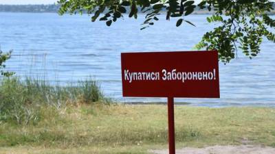 Не рекомендуется купаться: на 11 пляжах Киева обнаружили кишечную палочку - ru.espreso.tv - Киев