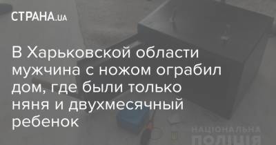 В Харьковской области мужчина с ножом ограбил дом, где были только няня и двухмесячный ребенок - strana.ua - Харьковская обл.