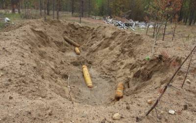 В Удорском районе схрон с опасным веществом убил деревья в округе - komiinform.ru - район Удорский