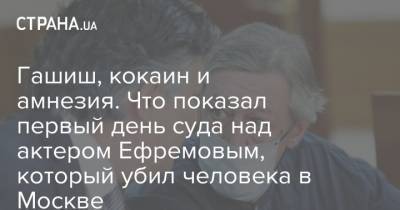 Михаил Ефремов - Сергей Захаров - Гашиш, кокаин и амнезия. Что показал первый день суда над актером Ефремовым, который убил человека в Москве - strana.ua - Москва - Украина