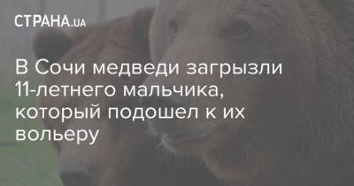 В Сочи медведи загрызли 11-летнего мальчика, который подошел к их вольеру - strana.ua - Россия - Сочи - Кубань - Томск - Дагомыс