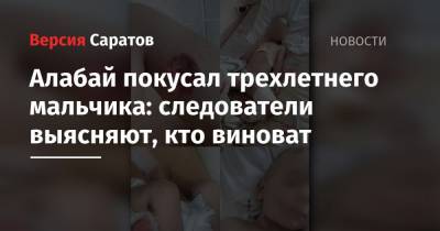 Алабай покусал трехлетнего мальчика: следователи выясняют, кто виноват - nversia.ru - Саратовская обл. - Вольск