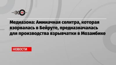 Борис Прокошев - Медиазона: Аммиачная селитра, которая взорвалась в Бейруте, предназначалась для производства взрывчатки в Мозамбике - echo.msk.ru - Москва - Бейрут - Мозамбик - Бейрут