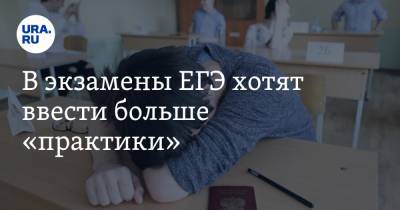 Игорь Круглинский - В экзамены ЕГЭ хотят ввести больше «практики» - ura.news