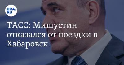 Михаил Мишустин - Михаил Дегтярев - ТАСС: Мишустин отказался от поездки в Хабаровск - ura.news - Россия - Хабаровский край - Хабаровск - Владивосток - окр. Дальневосточный