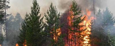 В Якутии обнаружено восемь новых очагов лесных пожаров - runews24.ru - респ. Саха - Верхоянск