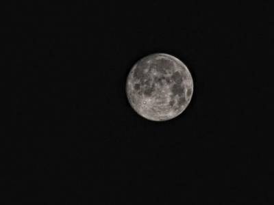 Скотт Уоринг - Известный уфолог обнаружил огромное здание на снимке Луны - golos.ua - Тайвань