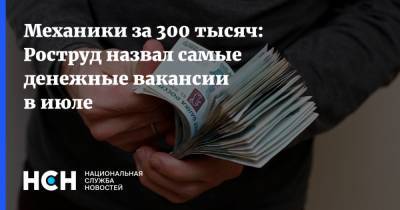 Механики за 300 тысяч: Роструд назвал самые денежные вакансии в июле - nsn.fm - Россия