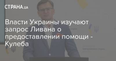 Дмитрий Кулеба - Власти Украины изучают запрос Ливана о предоставлении помощи - Кулеба - strana.ua - Украина - Ливан - Бейрут