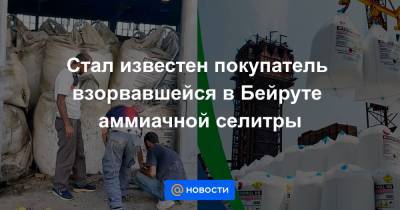 Стал известен покупатель взорвавшейся в Бейруте аммиачной селитры - news.mail.ru - Грузия - Конго - Бейрут - Мозамбик - Замбия - Малави