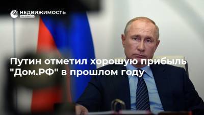 Владимир Путин - Виталий Мутко - Путин отметил хорошую прибыль "Дом.РФ" в прошлом году - realty.ria.ru - Москва - Россия