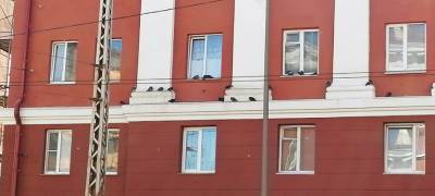 Ирина Мирошник - Депутат нашел способ защитить от голубей отремонтированные фасады домов в Петрозаводске - stolicaonego.ru - Петрозаводск