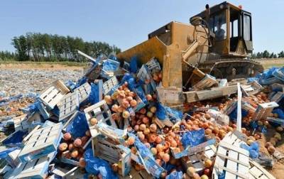 За пять лет в России уничтожили 36 тысяч тонн санкционных продуктов - korrespondent.net - Россия - Продовольствие