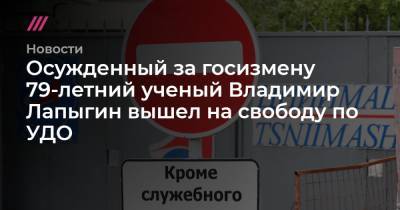 Осужденный за госизмену 79-летний ученый Владимир Лапыгин вышел на свободу по УДО - tvrain.ru - Москва - Китай - Тверь
