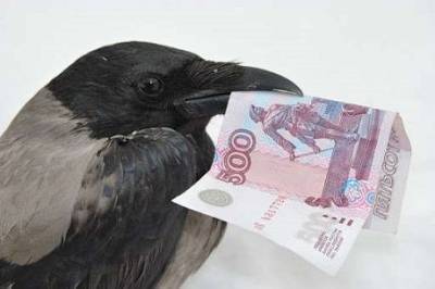 В Могилеве ворона украла деньги (ВИДЕО) - enovosty.com - Белоруссия