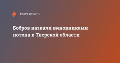 Бобров - Бобров назвали виновниками потопа в Тверской области - ren.tv - Тверская обл.