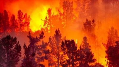 Пожары, тайфуны, снегопады: Землю продолжают атаковать природные катаклизмы - 5-tv.ru - Китай - Франция - Сеул - Australia