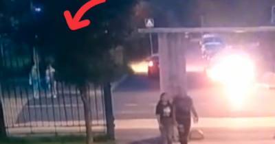 Сбивший на пешеходном переходе двух женщин в Москве водитель попал на видео - moslenta.ru - Москва - с. Видео